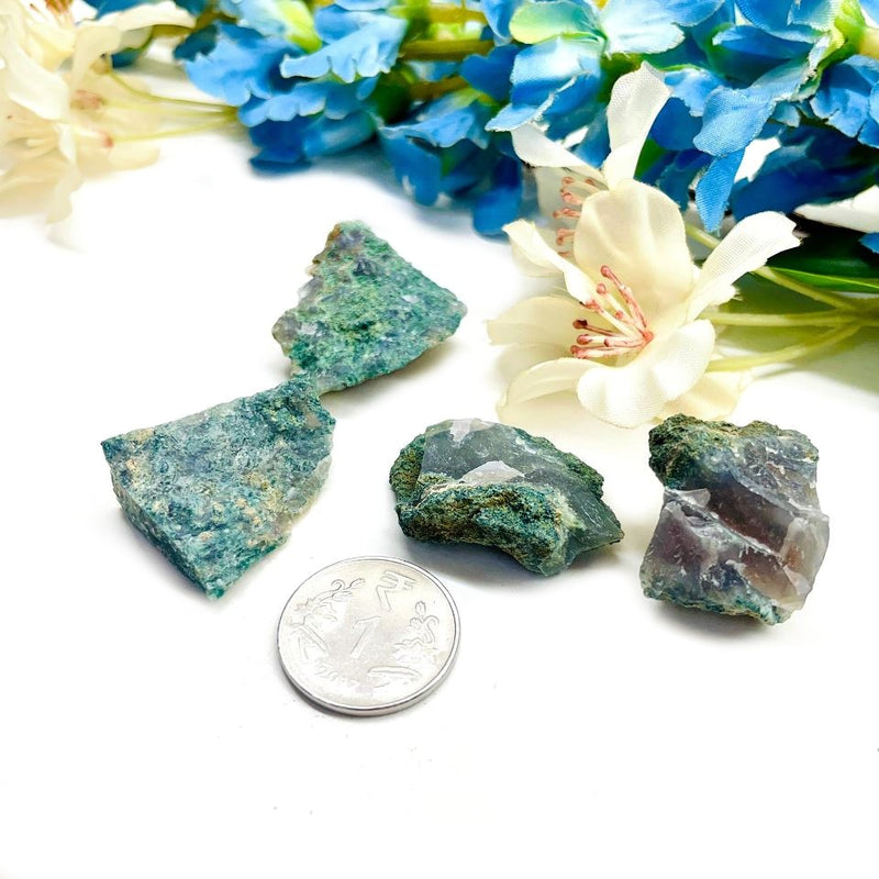 Moss Agate Rough (Prosperity and Growth)
