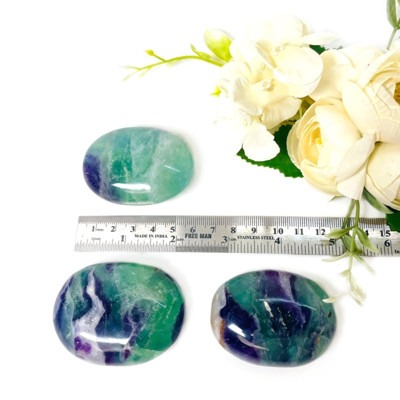 Multi Fluorite Palmstone (Focus & Learning)