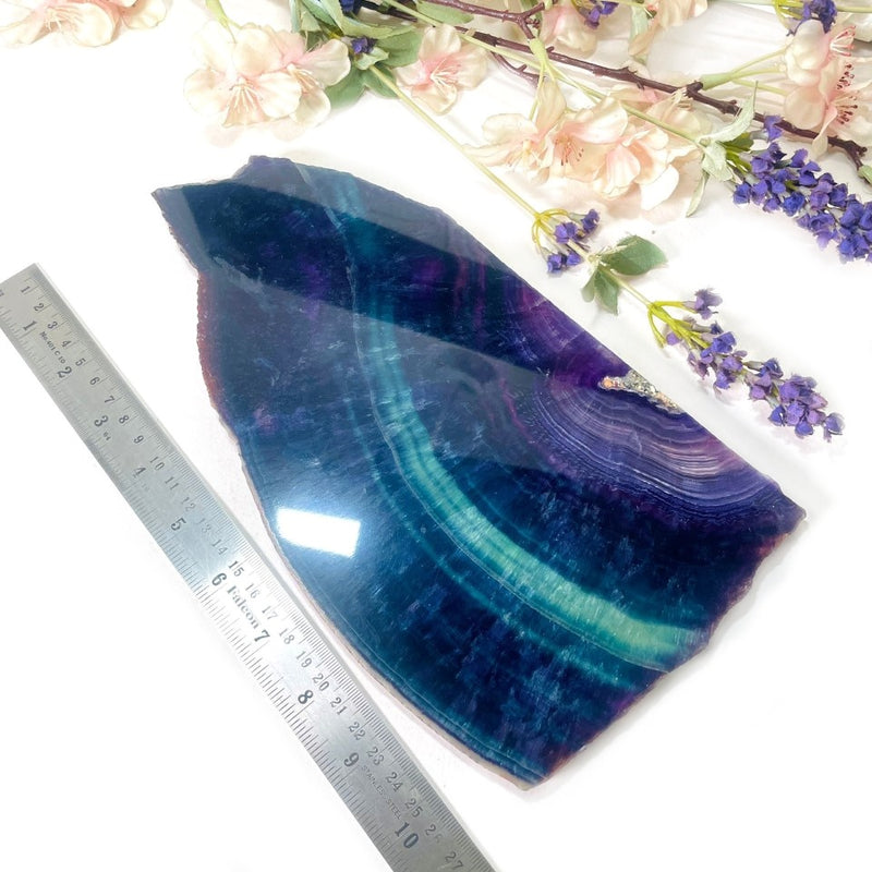 Multi Fluorite Plates (Clarity and Focus)