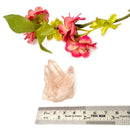 Nirvana Quartz/ Pink Himalayan Quartz Clusters (Bliss & Spiritual Growth)