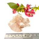Nirvana Quartz/ Pink Himalayan Quartz Clusters (Bliss & Spiritual Growth)