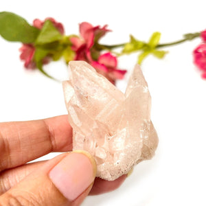 #Size_option a (38 g)