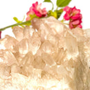 Nirvana Quartz/ Pink Himalayan Quartz Clusters (Bliss & Spiritual Growth)