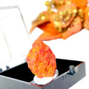 Orpiment Mineral Specimen (Hu Nan)