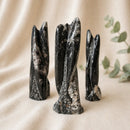 Orthoceras Cluster (Stability)