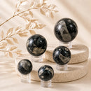 Orthoceras spheres by Talk to Crystals, available in various sizes, featuring natural healing stones for grounding, stability, personal growth, transformation, financial stability, and Root Chakra healing in India