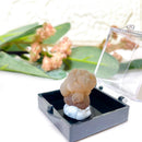 Panda Agate Mineral Specimen (Egypt)