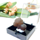 Panda Agate Mineral Specimen (Egypt)