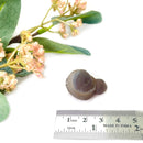 Panda Agate Mineral Specimen (Egypt)