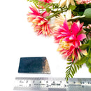 Petrified Palm Root Slice (Stability and Balance)