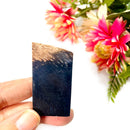 Petrified Palm Root Slice (Stability and Balance)