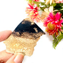 Petrified Palm Root Slice (Stability and Balance)