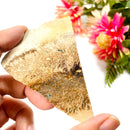 Petrified Palm Root Slice (Stability and Balance)