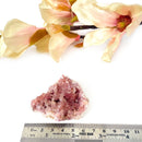 Pink Amethyst Clusters (Argentina)