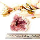 Pink Amethyst Clusters (Argentina)