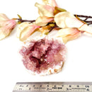 Pink Amethyst Clusters (Argentina)