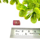 Pink Tourmaline AAA Rough (Compassion & Emotional Healing)