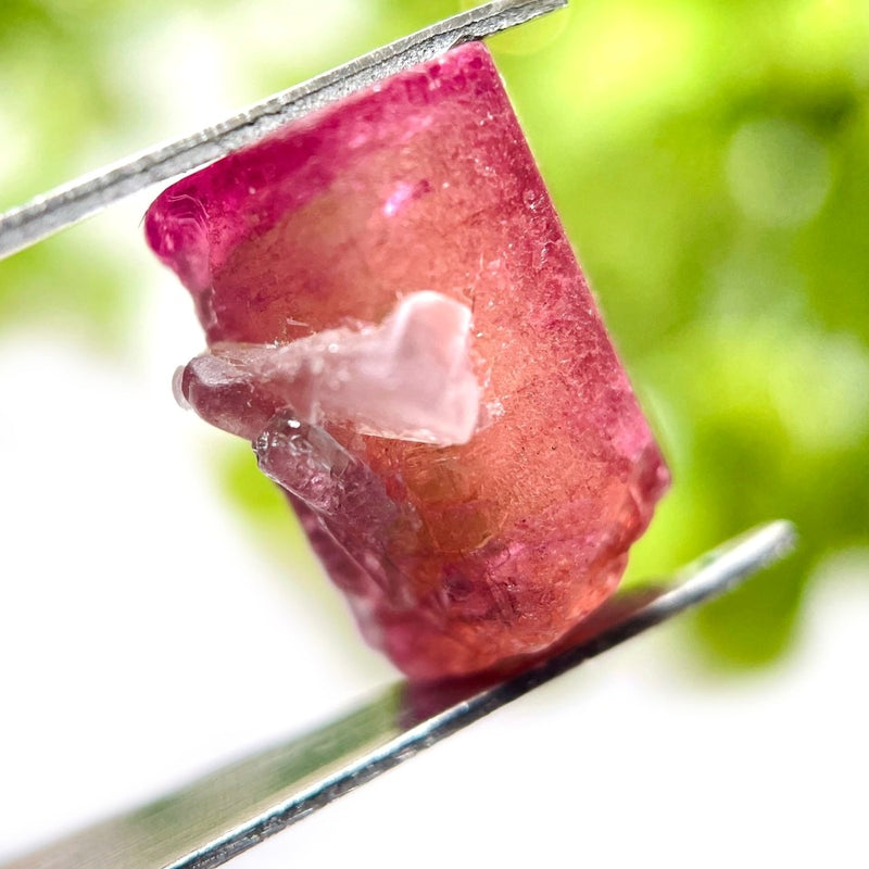 Pink Tourmaline AAA Rough (Compassion & Emotional Healing)