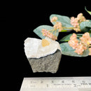 Powellite (Creativity & Perseverance)