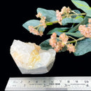 Powellite (Creativity & Perseverance)