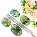 Prehnite Palmstones (Prophecy & Letting Go)