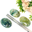 Prehnite Palmstones (Prophecy & Letting Go)