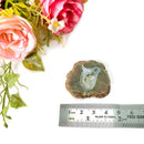 Priday Ranch Agate Slice