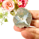 Priday Ranch Agate Slice