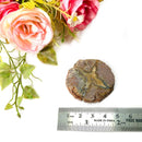 Priday Ranch Agate Slice