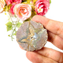 Priday Ranch Agate Slice