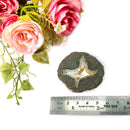 Priday Ranch Agate Slice