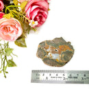 Priday Ranch Agate Slice