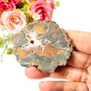 Priday Ranch Agate Slice