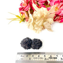 Prophecy Stone (Wisdom & Guidance)