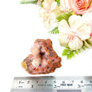 Pink-Red Chalcedony Geodes