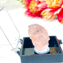 Rose Quartz Mineral Specimen (Madagascar)