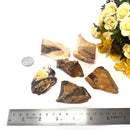 Mookaite Jasper Rough (Find your personal Power)