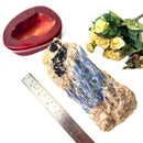 Raw Blue Kyanite on a Stand (Aura Cleanser & High Vibration)