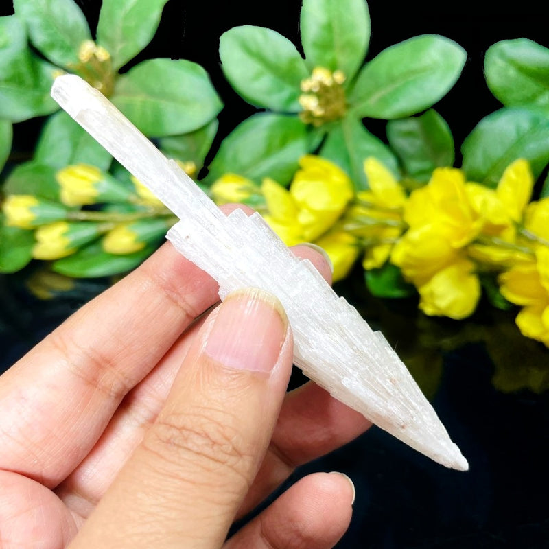 White Scolecite Blades (High Vibration & Transformation)