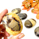 Septarian Palmstones (Protection & Change)