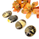 Septarian Palmstones (Protection & Change)
