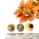 Septarian Spheres (Protection & Change)