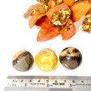 Septarian Spheres (Protection & Change)