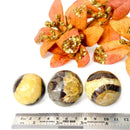 Septarian Spheres (Protection & Change)