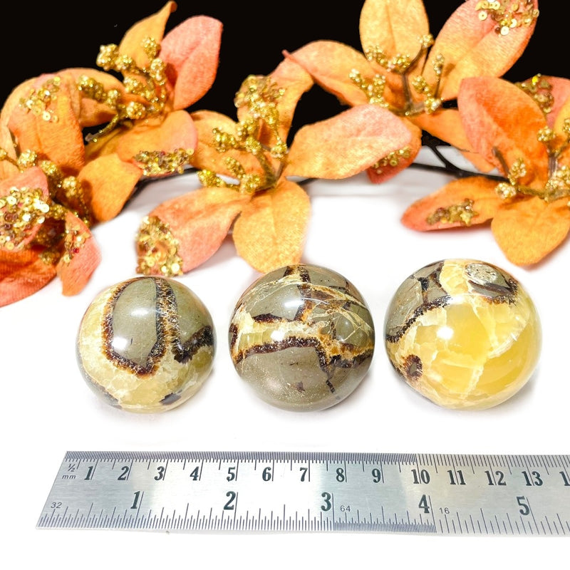 Septarian Spheres (Protection & Change)