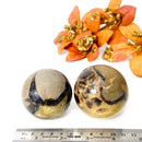 Septarian Spheres (Protection & Change)