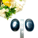 Shungite Palmstone (Detoxification & Protection)