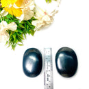 Shungite Palmstone (Detoxification & Protection)