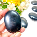 Shungite Palmstone (Detoxification & Protection)