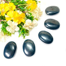 Shungite Palmstone (Detoxification & Protection)
